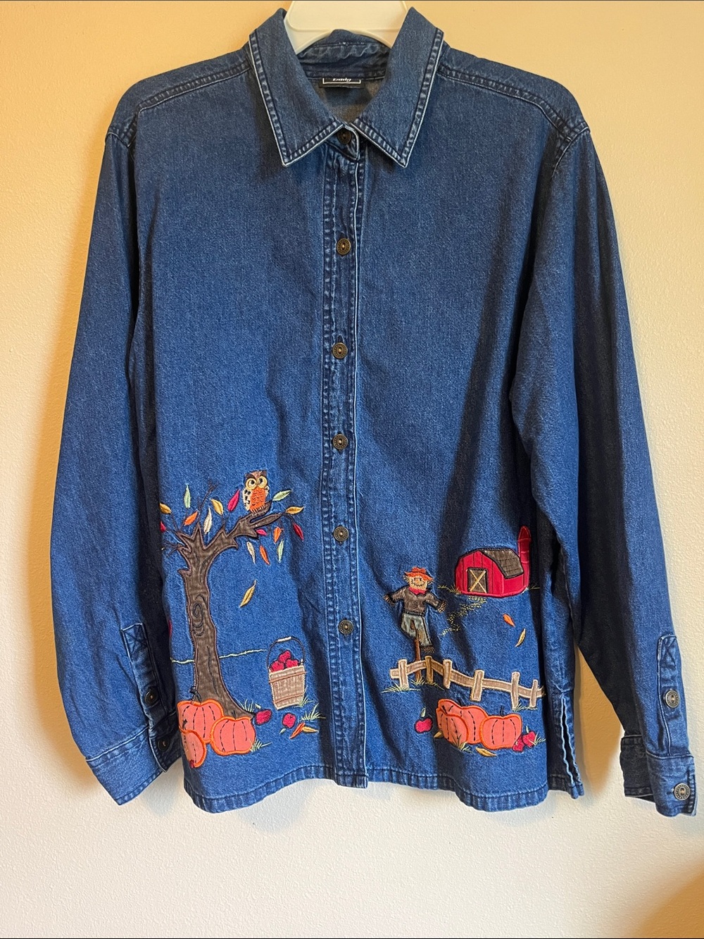 Vintage Southern Lady Auntum Embroidered Blue Denim Collared Shirt